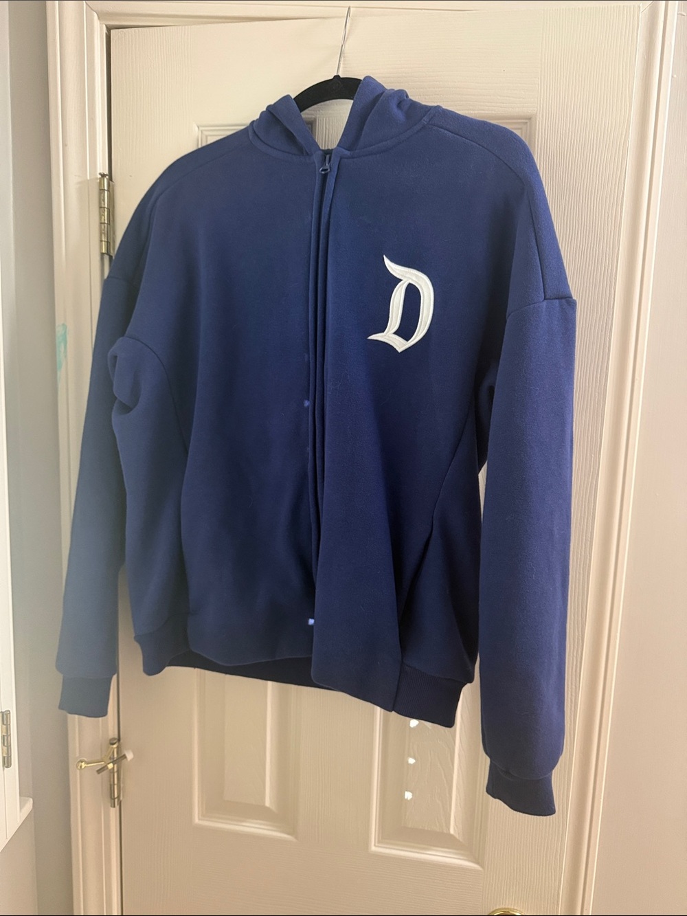 Disneyland hoodie